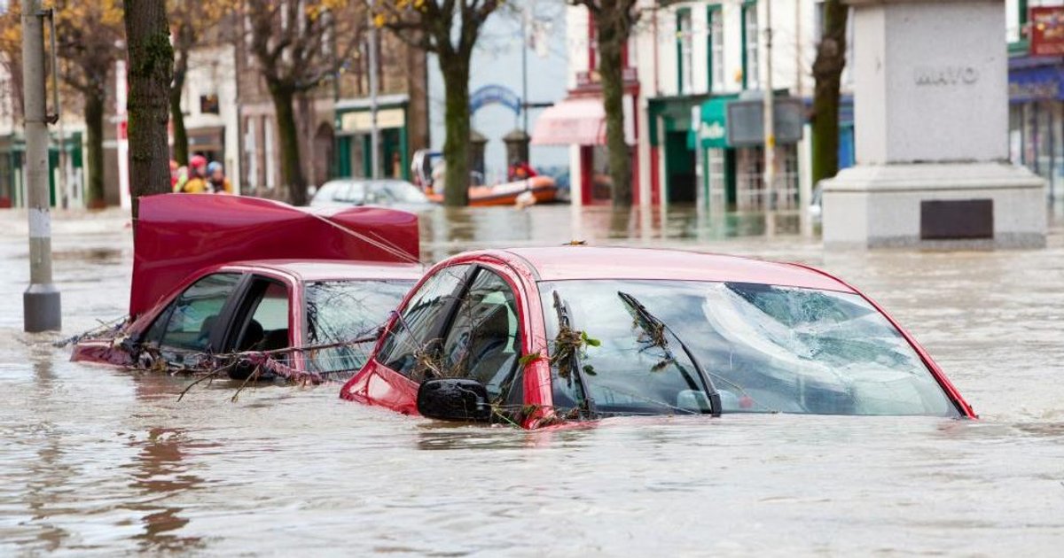 What Does Net Zero Mean for Tech Giants Such as Dell, Google, and Amazon?