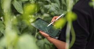 Will AI Accelerate or Hinder Big Tech’s Journey to Net Zero?