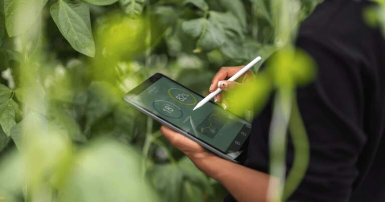 Will AI Accelerate or Hinder Big Tech’s Journey to Net Zero?